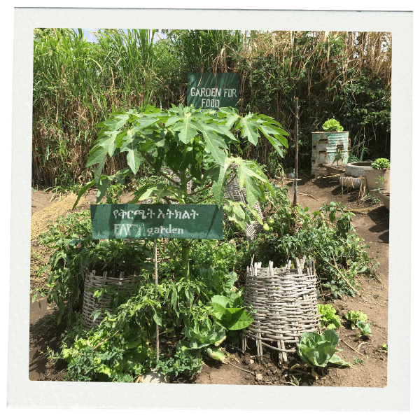 Image of a Family garden in Africa